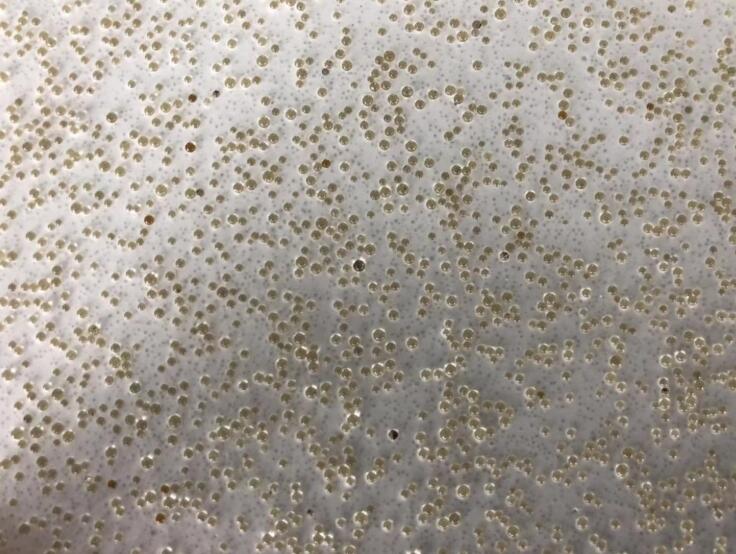 滁州 油田固井玻璃微珠 耐压